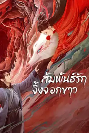 White Fox (2023) สัมพันธ์รักจิ้งจอกขาว ดูหนังเอเชีย