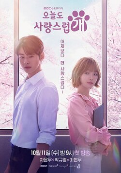 รีวิวซีรี่ย์เกาหลีสุดน่ารัก อะกูดเดย์ทูบีอะด็อก (A Good Day to Be a Dog)