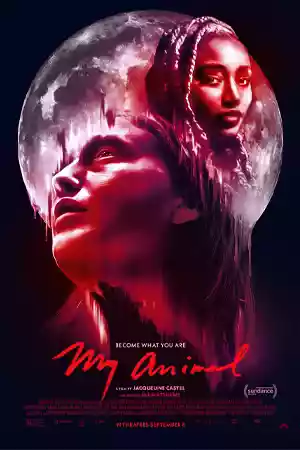 ดูหนังออนไลน์ My Animal (2023) เต็มเรื่อง