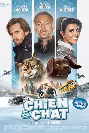 Cat and Dog (2024) ดูหนังออนไลน์ เต็มเรื่อง