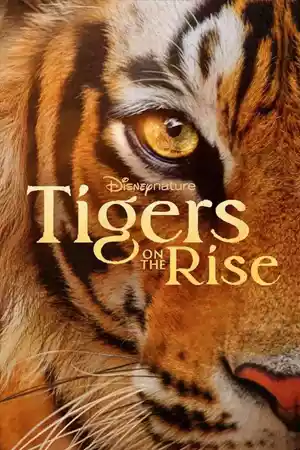 ดูหนังออนไลน์ Tigers on the Rise (2024)