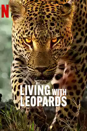 ดูหนังสารคดี Living with Leopards (2024) อยู่กับเสือดาว Netflix เต็มเรื่อง HD