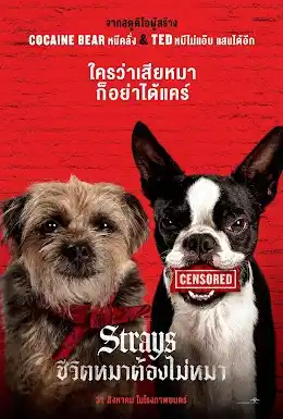 ดูหนังใหม่ออนไลน์ The Strays (2023) คนหลงทาง