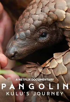 ดูหนังออนไลน์ Pangolin: Kulu's Journey (2025) การเดินทางของคูลู